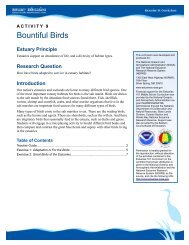 Bountiful Birds Teacher Guide - Estuaries NOAA