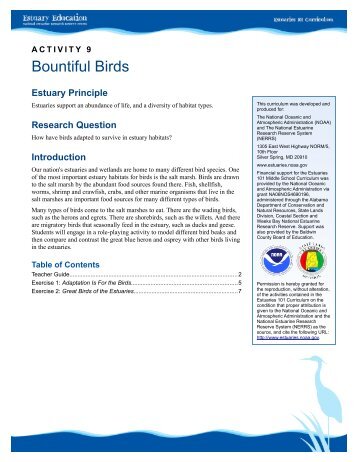 Bountiful Birds Teacher Guide - Estuaries NOAA