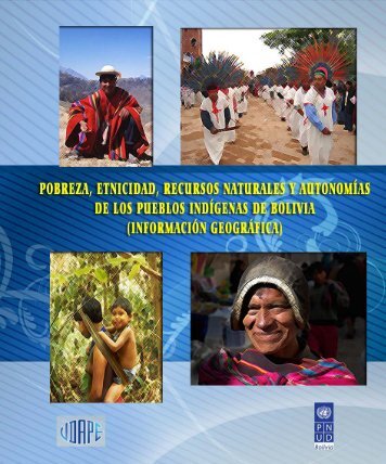 libro pobreza y etnicidad indÃ­gena - Unidad de AnÃ¡lisis de PolÃ­ticas ...