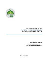 universidad de talca reglamento interno práctica profesional