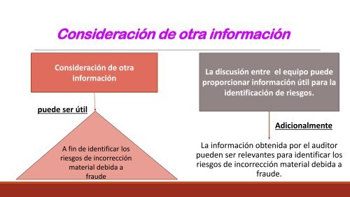 AUDITORIA-Y-CONTABILIDAD-FORENSE-NIA-240