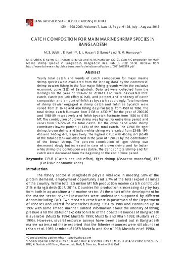 catch composition for main marine shrimp species in bangladesh