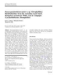 Paraorygmatobothrium taylori n. sp. (Tetraphyllidea ...