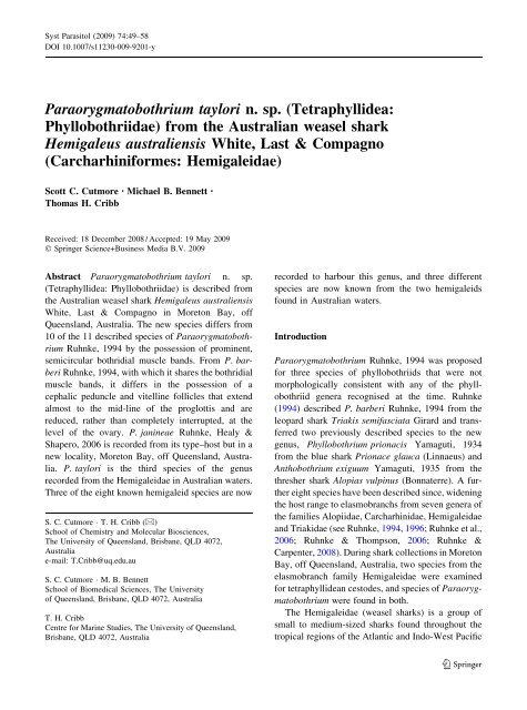Paraorygmatobothrium taylori n. sp. (Tetraphyllidea ...