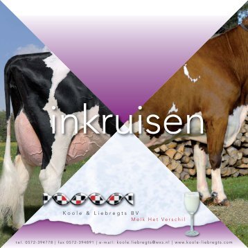Klik hier voor de inkruisfolder - Koole & Liebregts