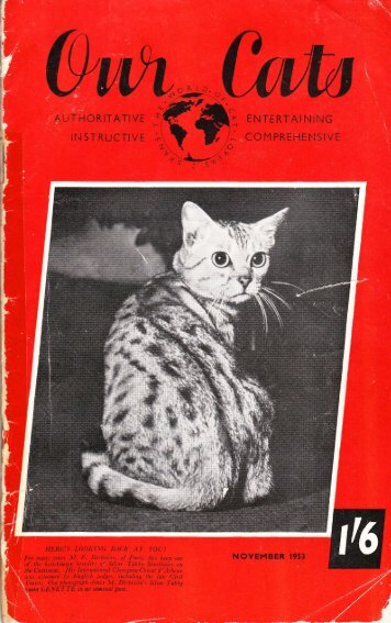 Mrs. Norah Andrews - Kyina & Talisker Cats Breeders of Russian ...