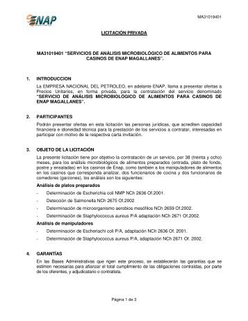LICITACIÓN PRIVADA MA31019401 “SERVICIOS DE ... - Enap
