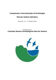 Internazionale Marche Umbria Adriatico - Team Ornitologico 