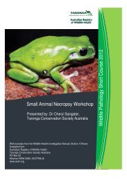 Small Animal Necropsy Workshop Notes - Australian Registry of ...