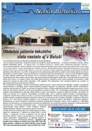 NaÅ¡a BeluÅ¡a 9/2011 v elektronickej podobe (pdf)