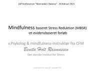 Mindfulness Og Psykisk Lidelse. Af Benita Holt Rasmussen - LAP