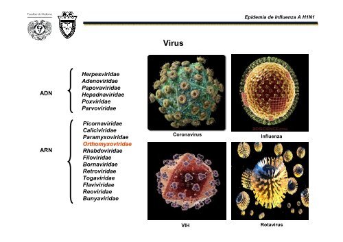 Influenza A H1N1 - Reposital - UNAM