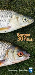 Bongaa 30 fisua - Kalatalouden Keskusliitto