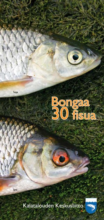 Bongaa 30 fisua - Kalatalouden Keskusliitto