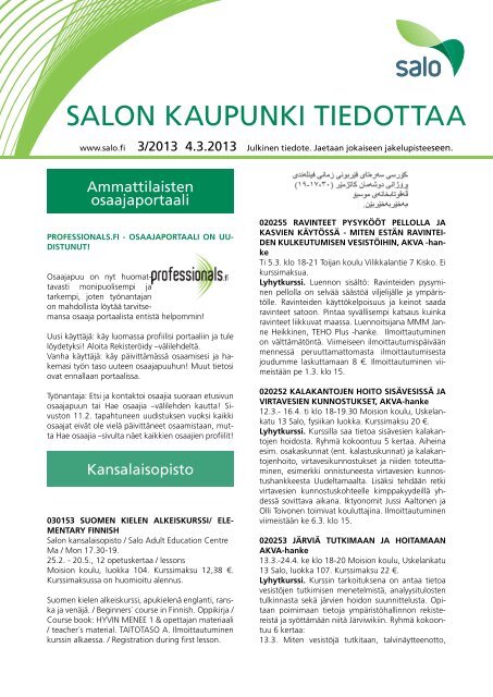 3/2013 - Salon kaupunki