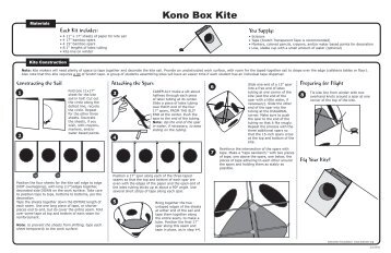 Kono Box Kite - Drachen Foundation