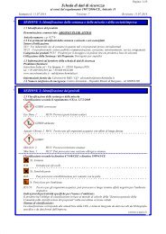 Scheda di Sicurezza ARGONIT PLURI ATTIVO - Pellonisrl.it