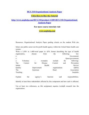 Organizational analysis paper