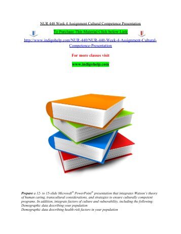 nursing conceptual model