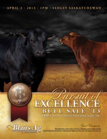 Pursuit of Excellence 2013 - Blairs.Ag Cattle Company
