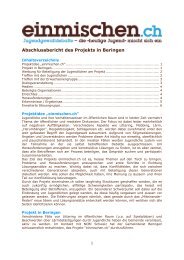 Abschlussbericht des Projekts in Beringen - Gemeinde Beringen
