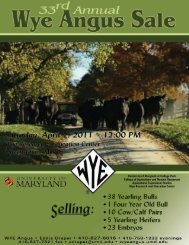 33rd Annual WYE Angus Sale - Brubaker Sales and Marketing