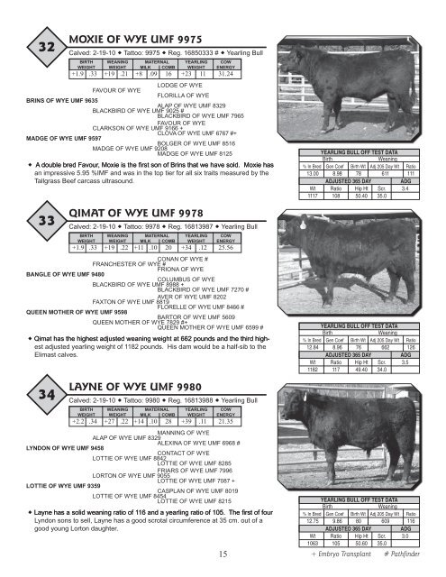 33rd Annual WYE Angus Sale - Brubaker Sales and Marketing