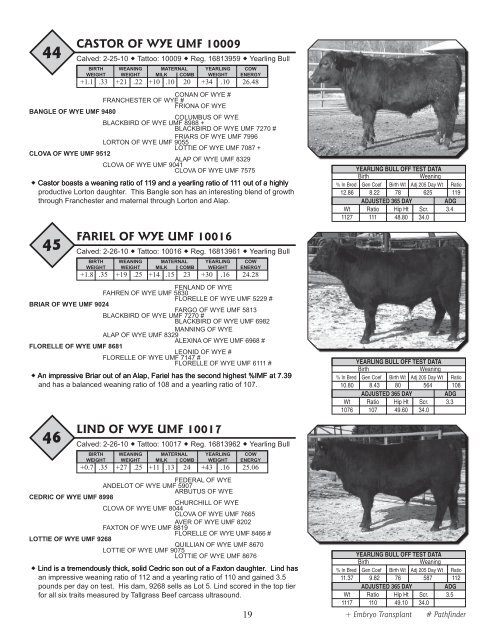 33rd Annual WYE Angus Sale - Brubaker Sales and Marketing