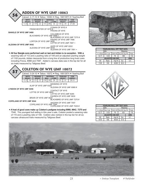 33rd Annual WYE Angus Sale - Brubaker Sales and Marketing