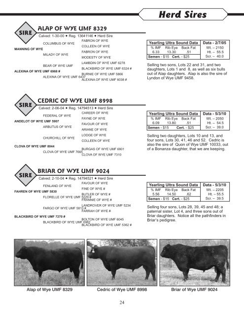 33rd Annual WYE Angus Sale - Brubaker Sales and Marketing