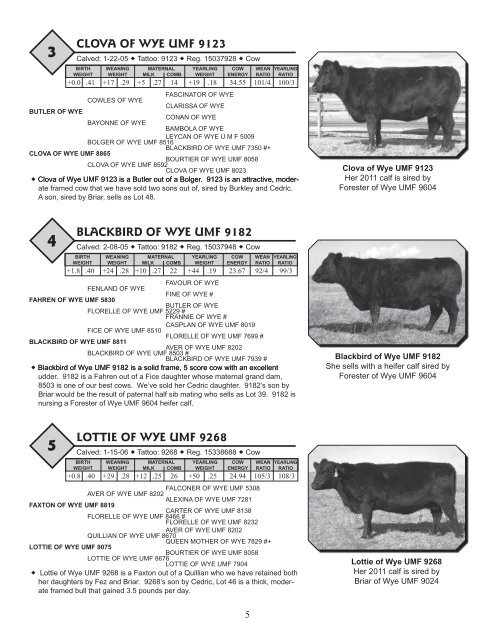 33rd Annual WYE Angus Sale - Brubaker Sales and Marketing