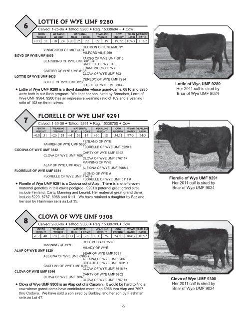 33rd Annual WYE Angus Sale - Brubaker Sales and Marketing