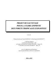 Projet epiphytes.pdf - Accueil