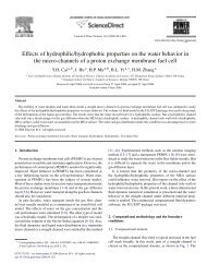 Effects of hydrophilic/hydrophobic properties on the water behavior ...