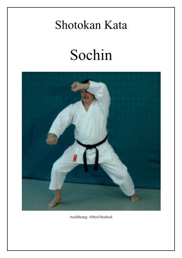 Sochin.pdf