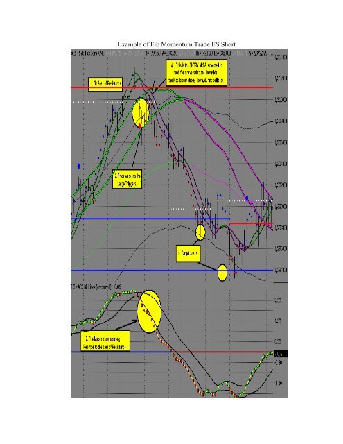 ProTrader - NEXGEN Software Systems