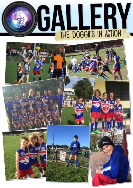 Doggies - JULY 2015.pdf