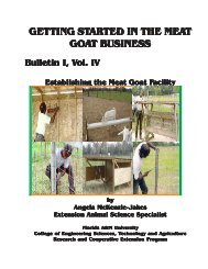 Getting Started in the Meat Goat Business - Small Farms / Alternative ...