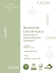 Bioetanol-00.indd 1 11/11/2008 15:20:48 - Instituto de Economia ...