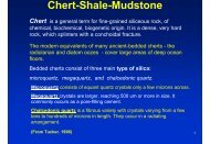 Chert-Shale-Mudstone