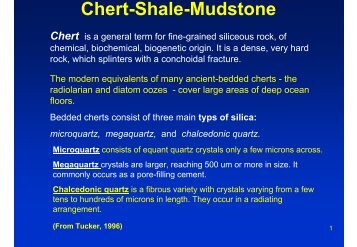 Chert-Shale-Mudstone