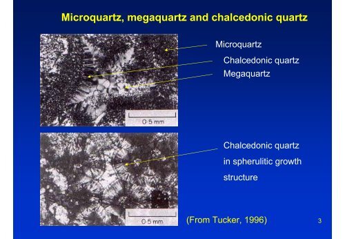 Chert-Shale-Mudstone