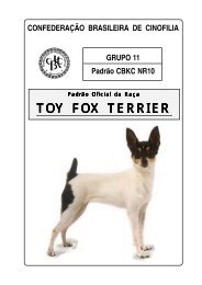 TOY FOX TERRIER - CBKC