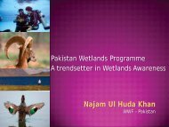 Najam Ul Huda Khan - Wetland Link International