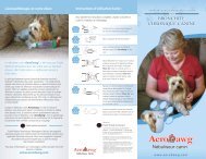 Nébuliseur canin - Trudell Medical International