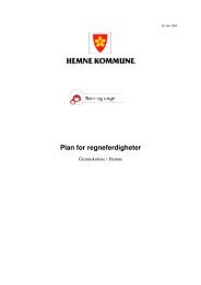 Plan for regneferdigheter - Hemne kommune