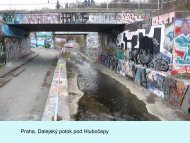 Některé revitalizace ve Středních Čechách a v Bavorsku
