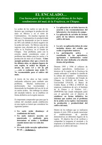 El encalado...Una buena parte de la soluciÃ³n al problema ... - Anfacal