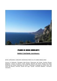 piano di zona 2009 piano di zona 2009-2011 - Fnp – Cisl Pensionati ...