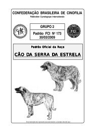 CÃO DA SERRA DA ESTRELA - ConfederaÃ§Ã£o Brasileira de Cinofilia